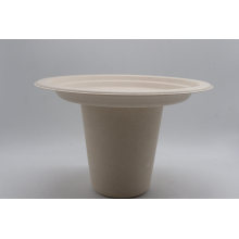 Takeaway Bagasse Sugarcane Pulp Food Container Lunch Box Tray Plates